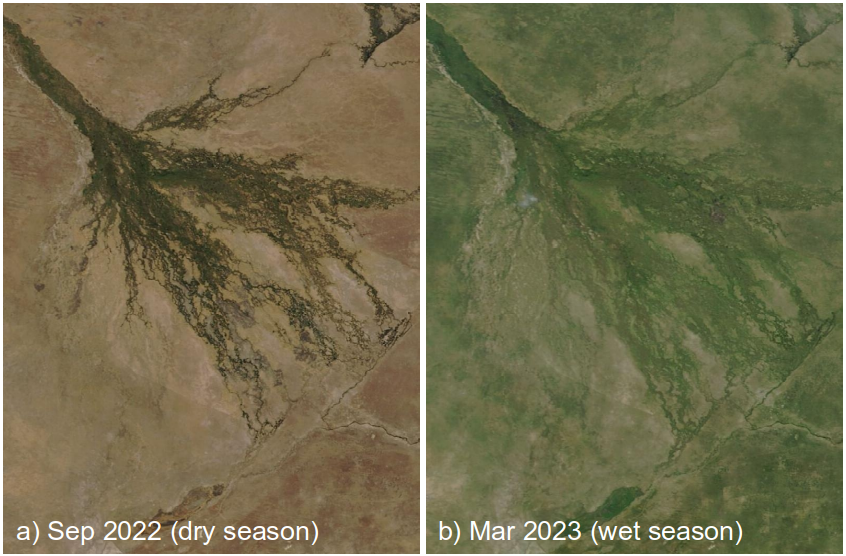 Satellite images of the Okavango Delta during the dry season (but peak flood) versus its extent during the wet season (but low flood).