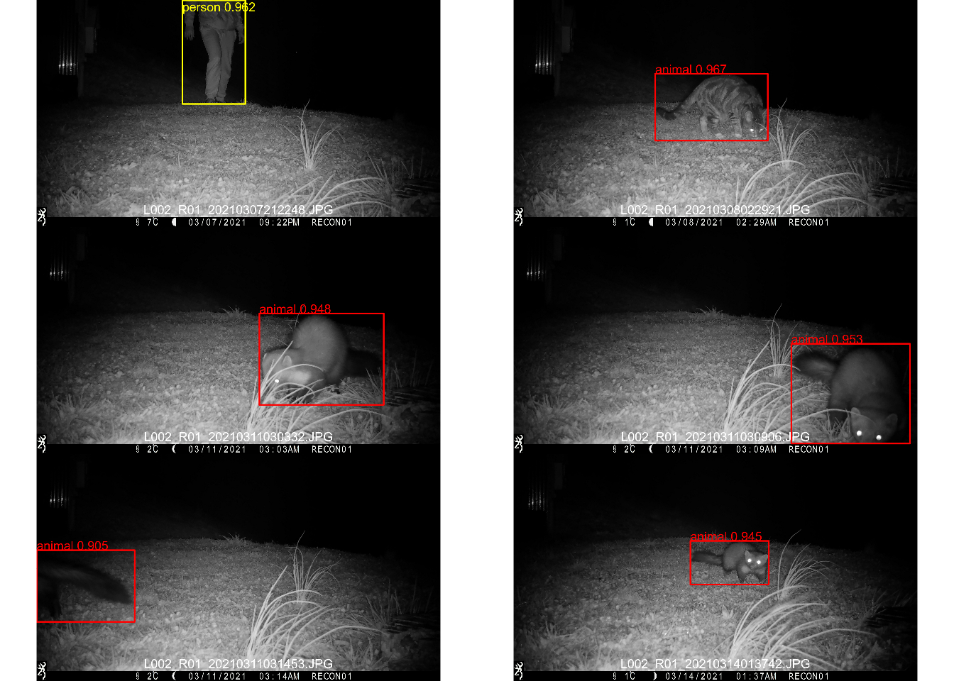 Some example detections on cameratrap images. Differently colored bounding boxes represent the different categories. The MegaDetector is able to distinguish animals, humans (person), and vehicles. As you can see on the image on the lower right, the detector even detects animals that are not fully within the picture!